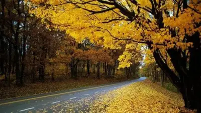 МИА Казинформ, фото - Новости Zakon.kz от 14.09.2018 12:12