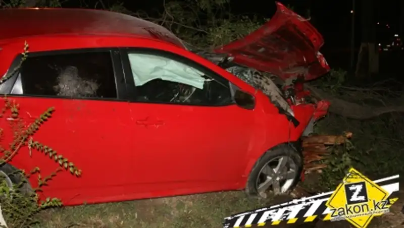 Водитель Тойоты снес дерево после наезда на собаку в Алматы