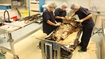 Zakon.kz, фото - Новости Zakon.kz от 04.06.2015 03:16