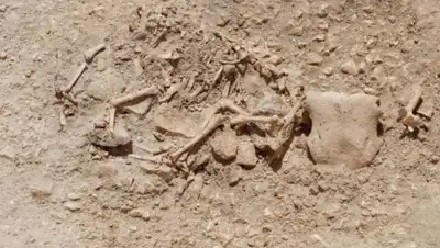 Zakon.kz, фото - Новости Zakon.kz от 15.07.2015 07:55