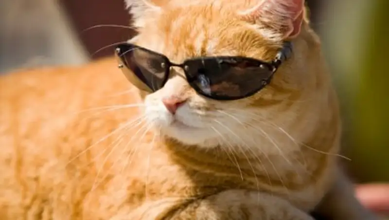 В среду казахстанцев ожидает жаркая погода 