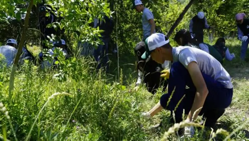 В Атырау открылся сезон работ трудовых отрядов "Жасыл Ел"