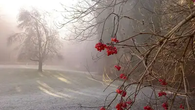 В ряде областей Казахстана объявлено штормовое предупреждение, фото - Новости Zakon.kz от 29.09.2023 02:54