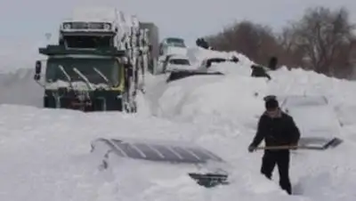 Zakon.kz, фото - Новости Zakon.kz от 06.03.2014 01:54