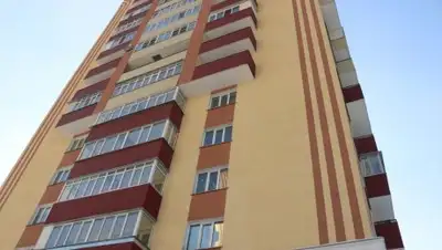 zakon.kz, фото - Новости Zakon.kz от 04.02.2019 16:03