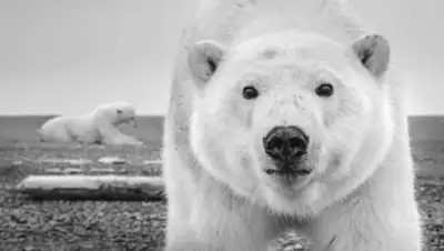 Zakon.kz, фото - Новости Zakon.kz от 01.02.2016 23:00