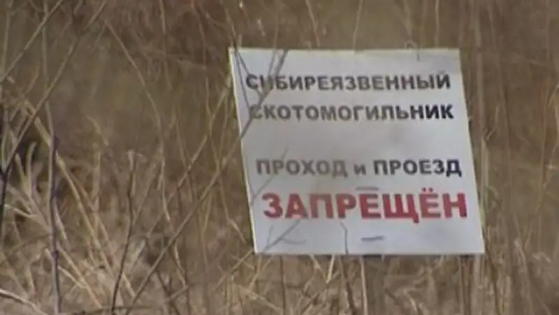 Минсельхоз ведет поиск более 300 захоронений сибирской язвы в Казахстане