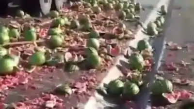 Zakon.kz, фото - Новости Zakon.kz от 04.07.2017 19:36