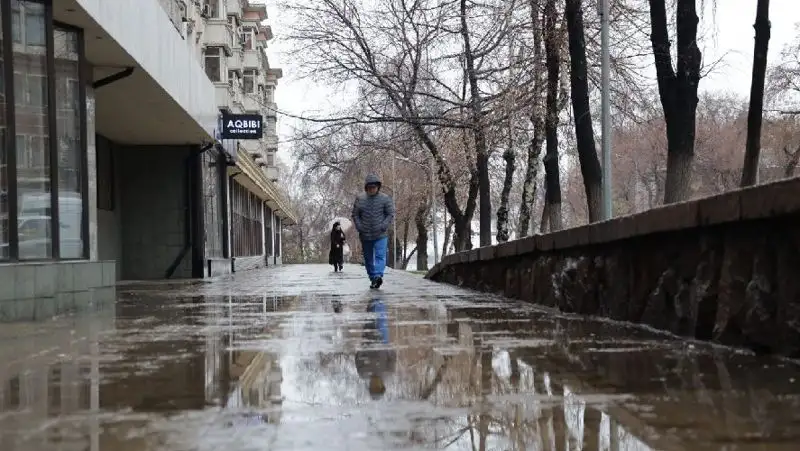 дождь в Алматы, фото - Новости Zakon.kz от 18.03.2022 13:02