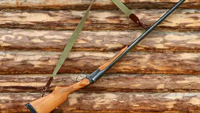 pixabay.com, фото - Новости Zakon.kz от 09.09.2019 17:34