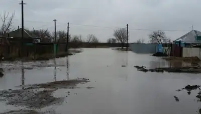 Комсомольская правда Казахстан, фото - Новости Zakon.kz от 27.12.2018 06:44