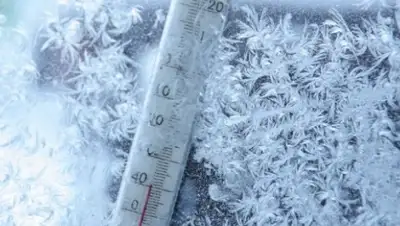 Zakon.kz, фото - Новости Zakon.kz от 17.02.2015 23:43