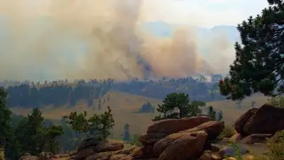 pixabay.com, фото - Новости Zakon.kz от 07.07.2021 10:02