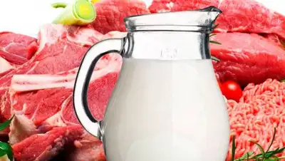 Яндекс.Новости, фото - Новости Zakon.kz от 10.06.2018 09:16