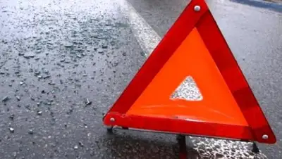 из открытых источников, фото - Новости Zakon.kz от 17.04.2018 19:23