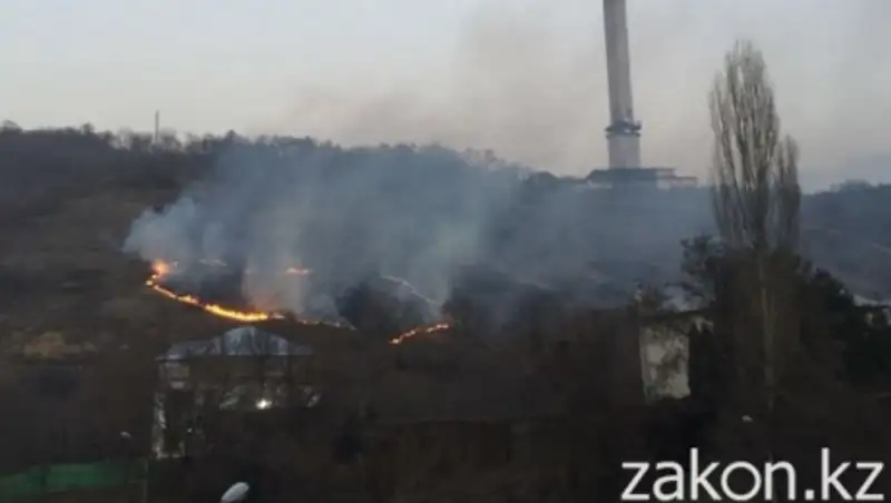 Пожар в районе парка "Кок-Тобе" в Алматы произошел из-за сухостоя