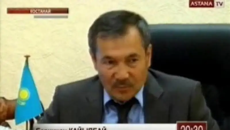 Ветеринары не связывают падеж домашнего скота в Костанайской области с гибелью сайгаков