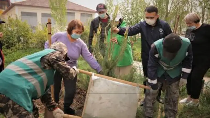 Жители столицы запустили челлендж "Посади свое дерево"