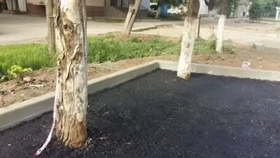 КазТАГ, фото - Новости Zakon.kz от 31.05.2018 23:37