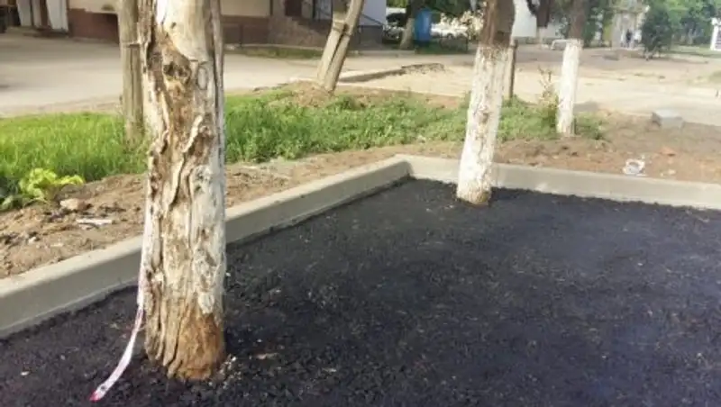 Уральские рабочие закатали придорожные деревья в асфальт