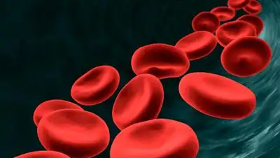 gazeta.ru, фото - Новости Zakon.kz от 18.06.2021 06:08