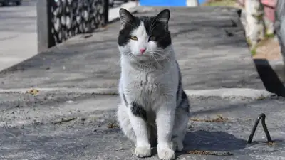 тепло, фото - Новости Zakon.kz от 14.04.2023 17:53