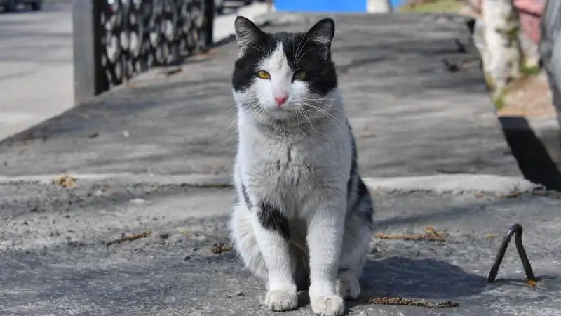 Когда в Алматы отключат отопление