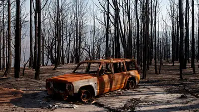 lenta.ru, фото - Новости Zakon.kz от 18.02.2020 08:22