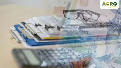 МСХ РК, фото - Новости Zakon.kz от 09.12.2019 10:02