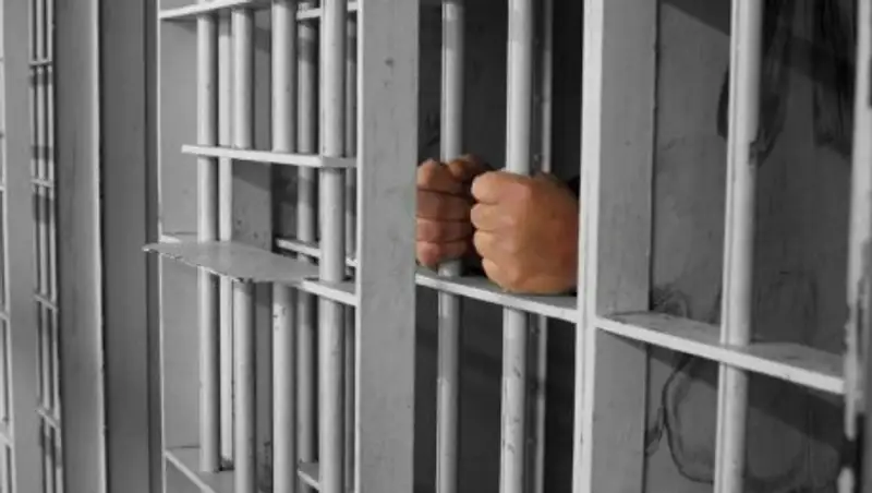 Протащивший полицейского на капоте водитель водворен в ИВС