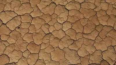 Pixabay, фото - Новости Zakon.kz от 04.11.2019 08:03