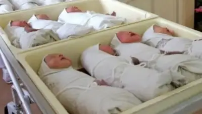 Zakon.kz, фото - Новости Zakon.kz от 12.08.2015 03:13