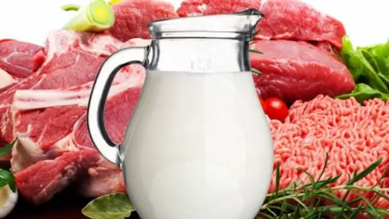 Как будет развиваться мясо-молочное производство в Казахстане