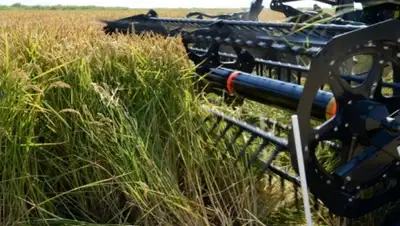 Zakon.kz, фото - Новости Zakon.kz от 17.09.2015 03:50