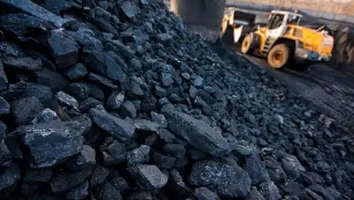 Zakon.kz, фото - Новости Zakon.kz от 30.01.2015 02:38