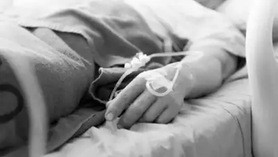 kt.kz, фото - Новости Zakon.kz от 11.08.2020 09:09