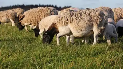 Zakon.kz, фото - Новости Zakon.kz от 21.06.2016 04:12