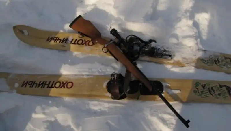 В СКО сельчане незаконно застрелили оленя и собирались его съесть