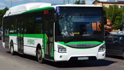 inbusiness.kz, фото - Новости Zakon.kz от 03.04.2020 16:24