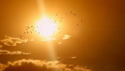 Mail.KZ, фото - Новости Zakon.kz от 15.08.2018 08:10