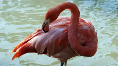 pxhere.com, фото - Новости Zakon.kz от 06.03.2019 16:08