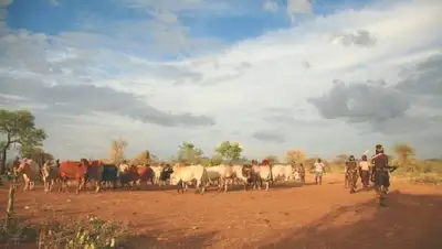 Zakon.kz, фото - Новости Zakon.kz от 15.03.2016 19:52