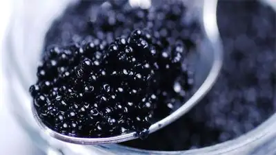 Zakon.kz, фото - Новости Zakon.kz от 25.04.2014 17:43