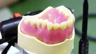 Zakon.kz, фото - Новости Zakon.kz от 09.08.2017 17:49