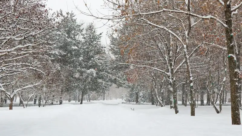 Какой будет погода в Казахстане 23 февраля