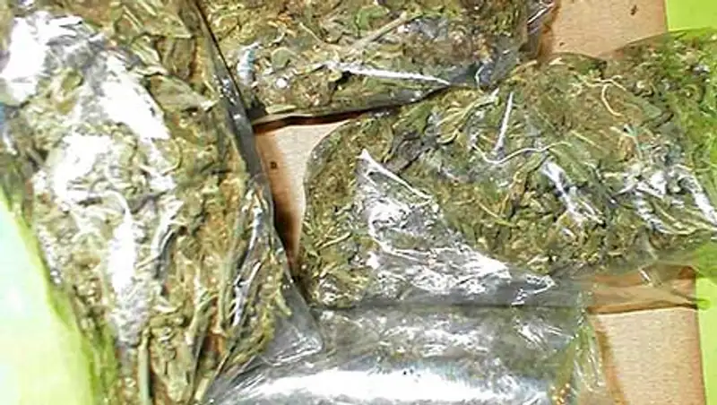 Более 5 кг марихуаны изъяли у пассажира поезда сообщением Алматы - Мангышлак, фото - Новости Zakon.kz от 04.11.2013 21:47