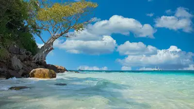 Казахстанец в Таиланде гибель, фото - Новости Zakon.kz от 04.09.2023 17:12