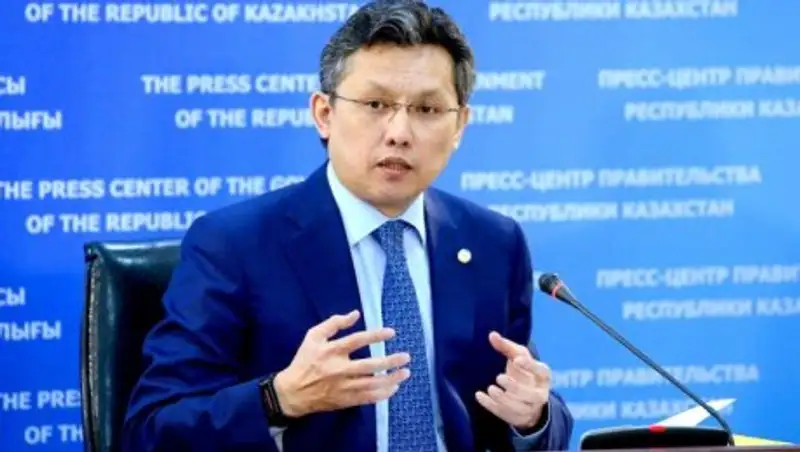 Проблемы таможенной системы «Астана-1» озвучил Султанов