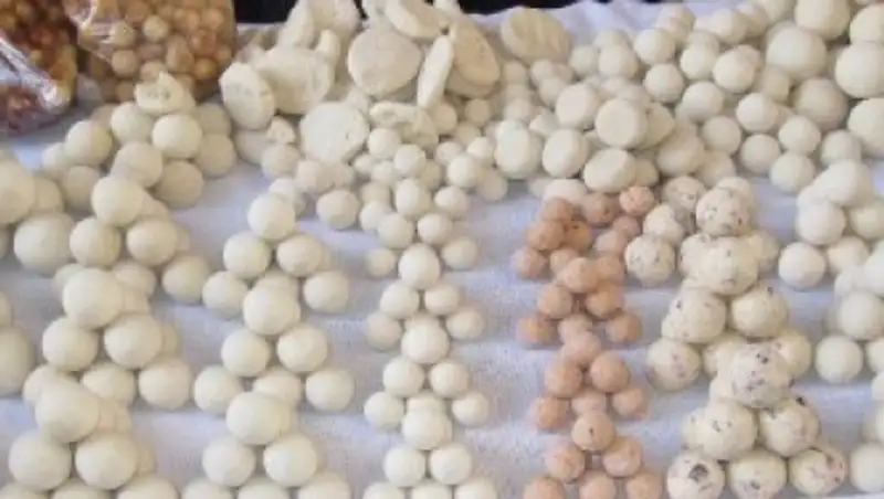 &#1178;аза&#1179;ты&#1187; &#1179;&#1201;рты &#1179;ытайлы&#1179;тарды тамсандырды