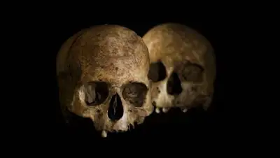 ZAP - AEIOU, фото - Новости Zakon.kz от 01.07.2021 00:01